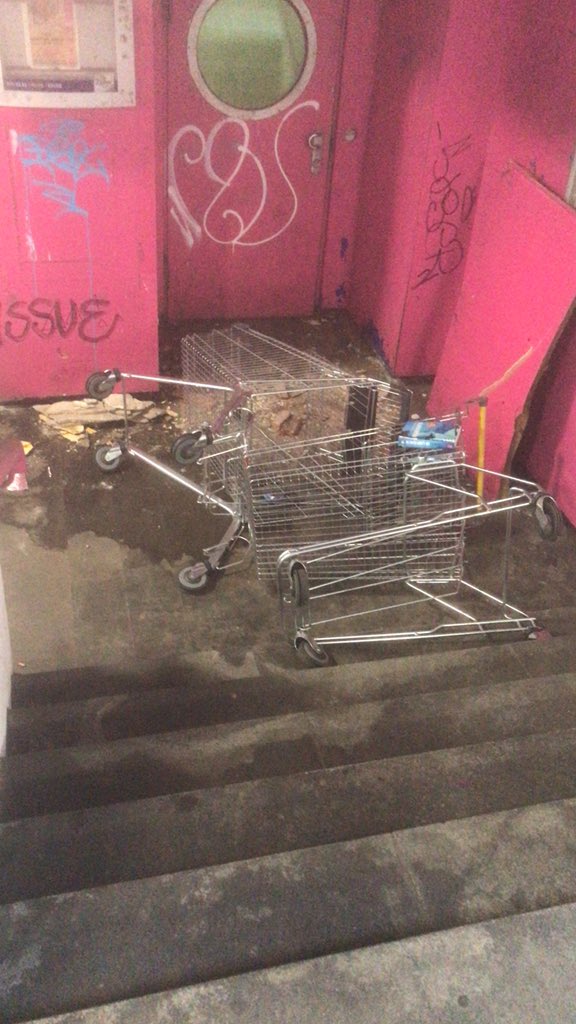 #Einkaufswagenkunst
Unterführung Hinsenkampplatz, Linz Urfahr