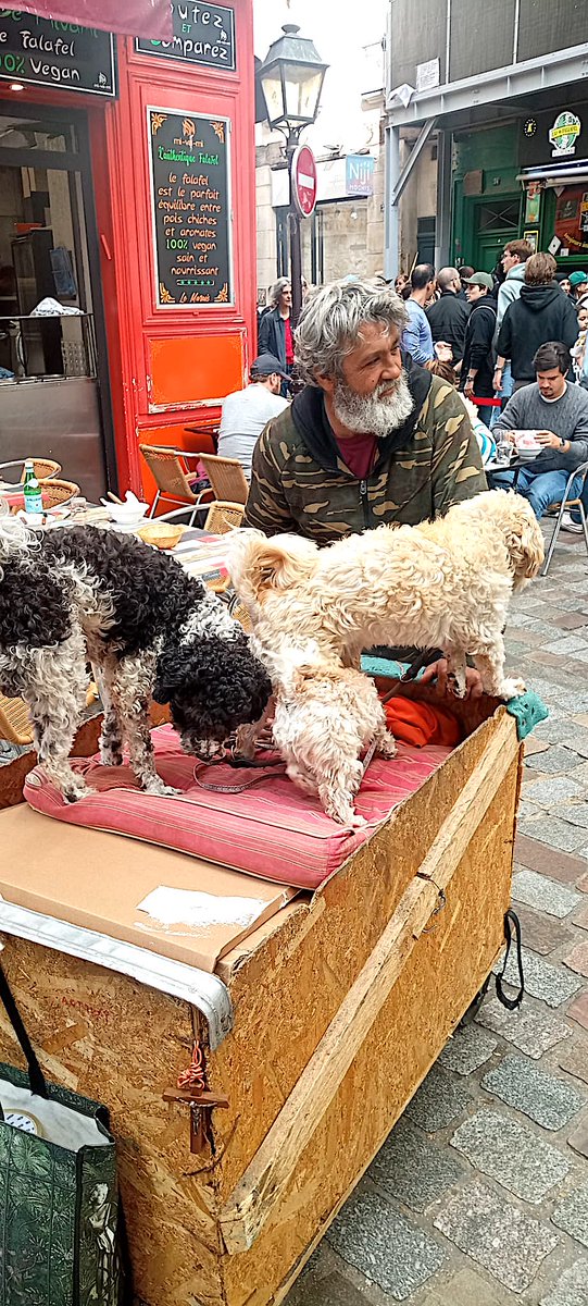 focusonparis's tweet photo. Dog daze: a man and his dogs make the rounds in the #Marais district. #streetlife #dogsofparis #paris #photography https://t.co/fVjudwvnHj https://t.co/lk9FWVjdYQ