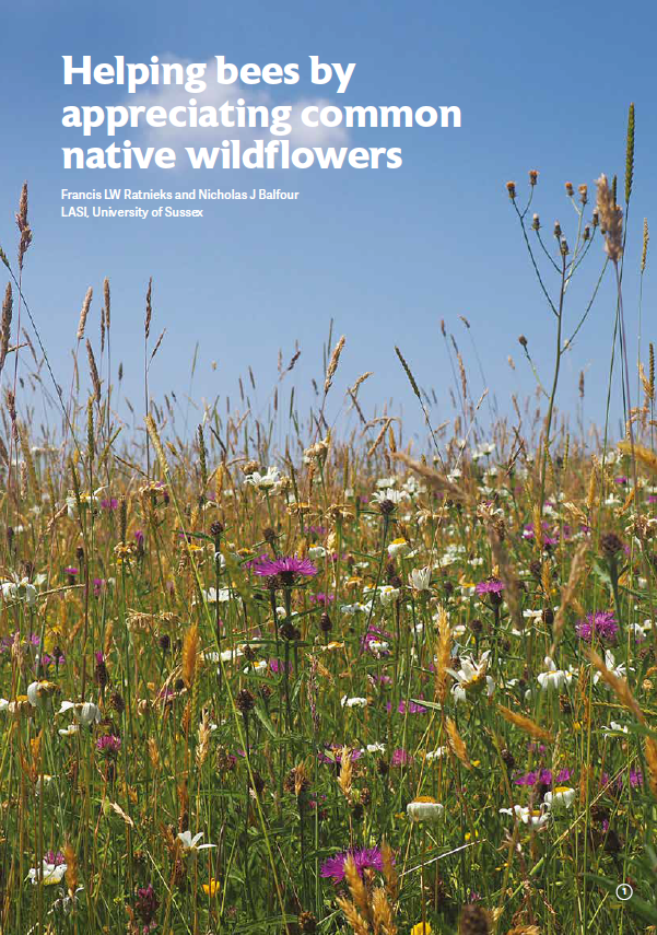 BeeCraftMag's tweet photo. Planning your planting for next year? In our November issue, Prof Francis Ratnieks and Nicholas Balfour of LASI give some great tips and surprising findings based on their research. https://t.co/e9ByAHC8kP