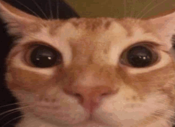 I genuinely don't play video games anymore I swear, I only play when im in vc with mates or something