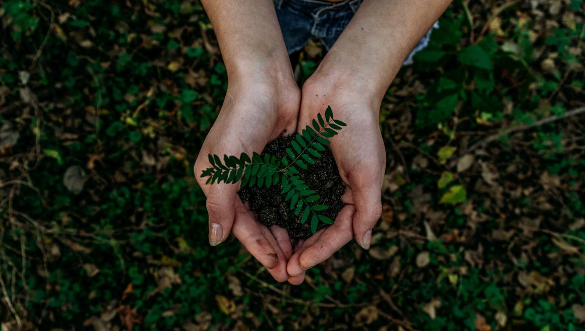 Nature connects us all 🌱 So let's take care of it.
And if that means also growing your business and getting more online reviews: that's a win-win, right? 💼

📈 Boost your brand image with eco-friendly initiatives
🌟 Attract conscious consumers who appreciate sustainability