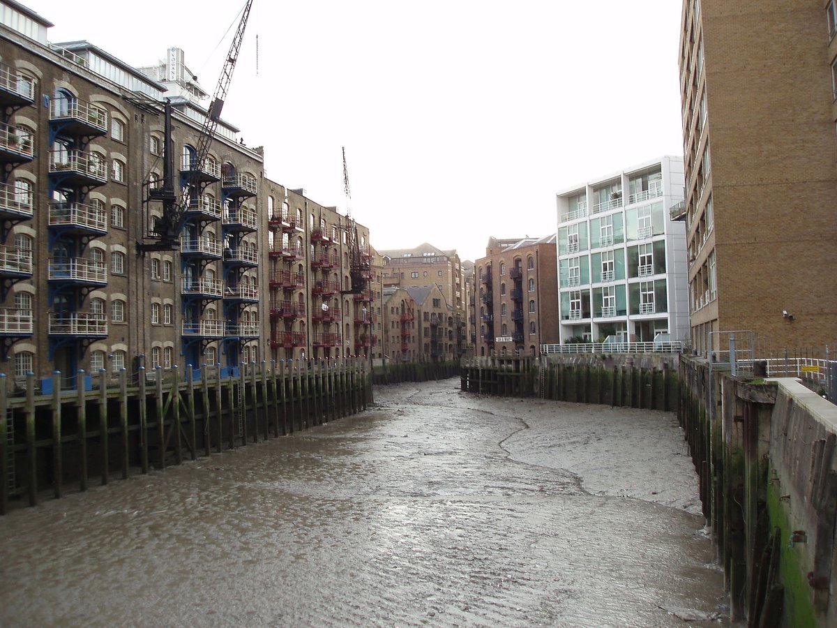 ShadThamesRA's tweet photo. If you are concerned about the condition of St. Saviour’s Dock and the impact that the buildup of #rubbish is having on wildlife and waterfowl, please sign this petition asking the @LondonPortAuth to take action: https://t.co/L72yQKAIIB @ThamesWater #ShadThames https://t.co/eko1eZgjMw