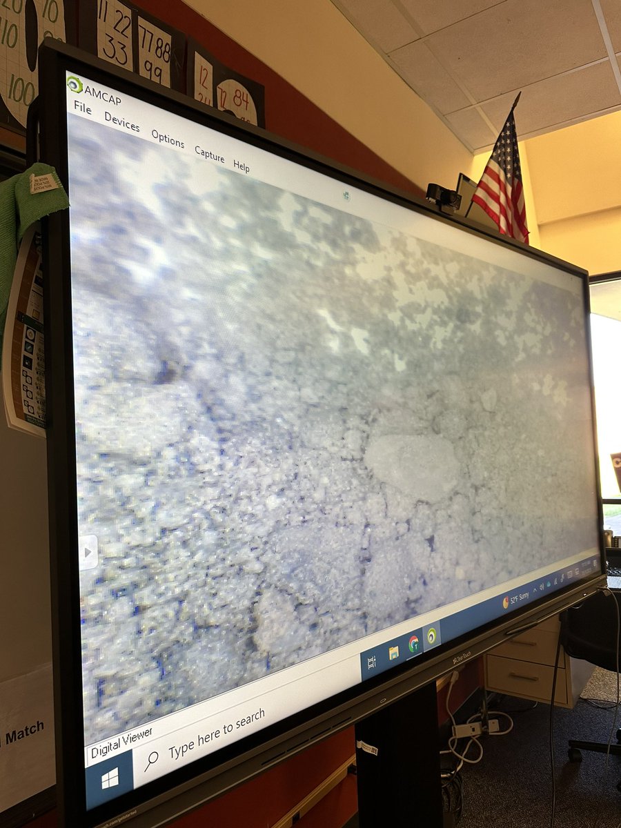 hellomisstran's tweet photo. Zooming into different soil was super cool! @LiestmanES @AliefScience https://t.co/CcQfLdN3wb