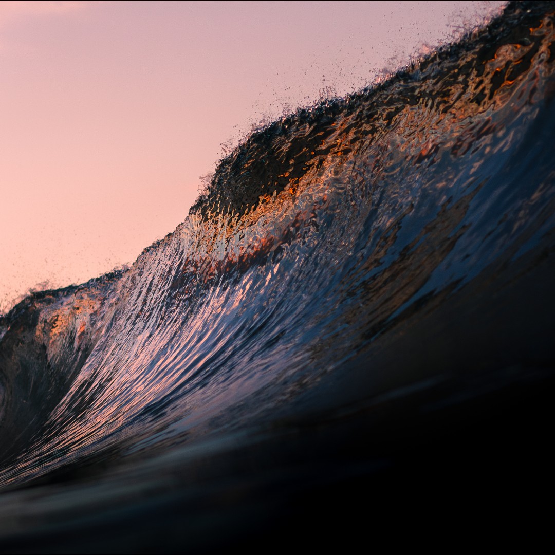 Scotland's tweet photo. Join Sam Howard as he takes us on a journey into the beautiful oceans surrounding Scotland. Diving into the sea with his camera, we see tiny water gems to powerful waves.

“Our Scottish Seas” is currently on at The Alchemy Experiment, Glasgow until 5 November.

#ScotlandSurf https://t.co/S2KtW0nvJM