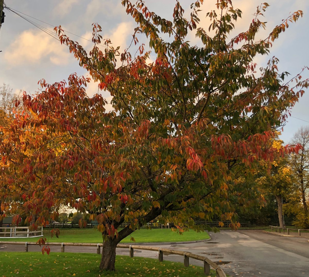 As the leaves change colour, is your business prepared for the winter challenges ahead? ❄️ When emergencies strike, our VSD Hire Fleet is here to keep you in control with our VSD solutions. Contact us today to learn more. #WinterReady #EmergencyResponse #VSDHire #pumpindustry