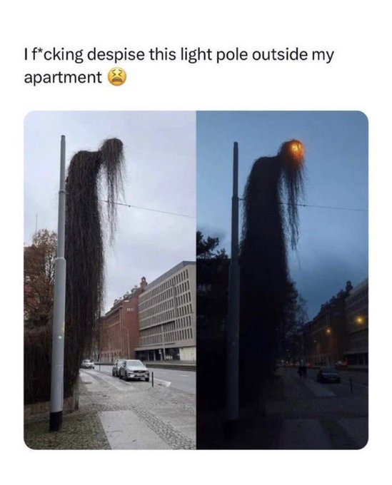 Steve ❤️ Memecoin tweet media