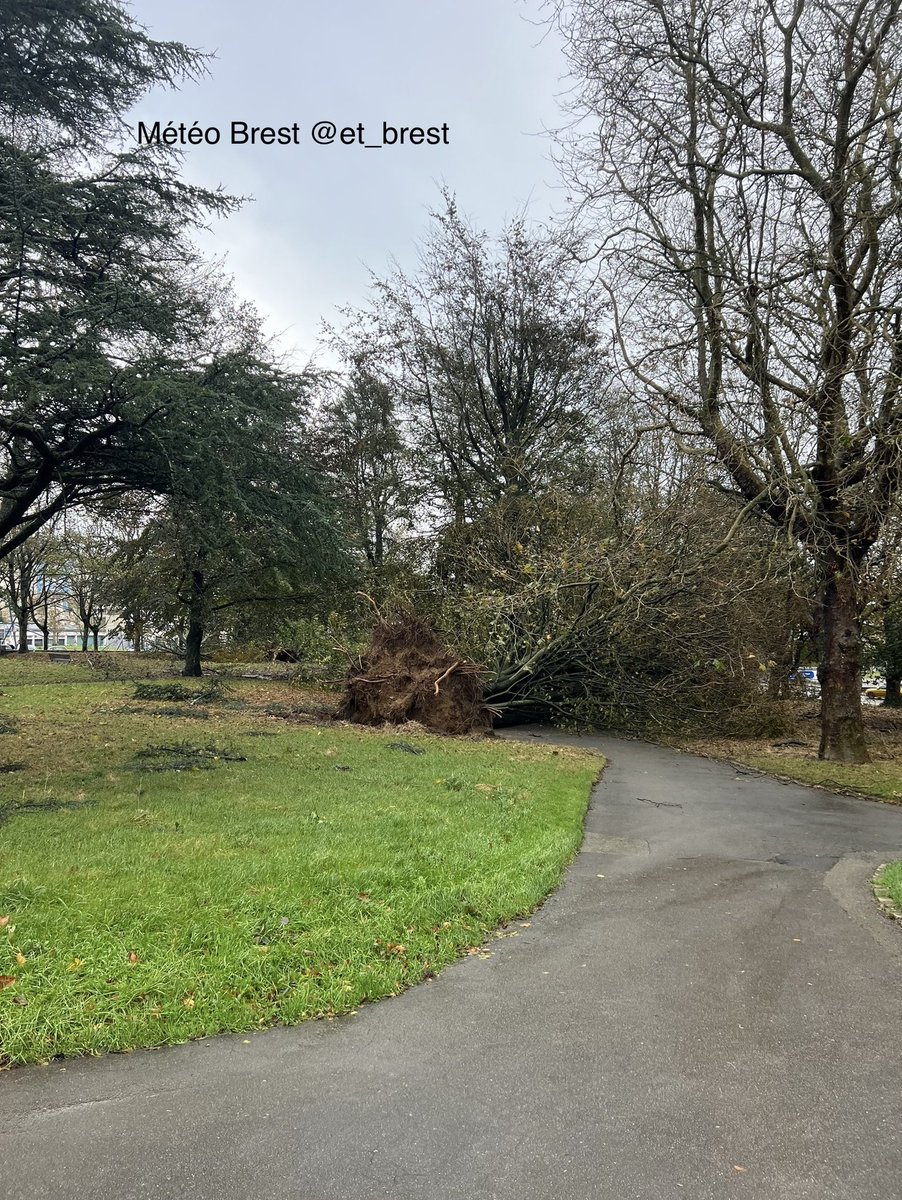 et_brest's tweet photo. ⚠️🚩💨 #Ciaran PHOTOS LIVE BREST 
Scènes apocalyptiques dans le centre-ville de Brest. Une grue d’un chantier juste derrière la gare, menace toujours de s’effondrer. Des centaines d’arbres au sol même en centre ville. https://t.co/FVPecINAOc