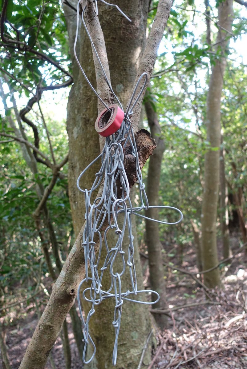OutRecording's tweet photo. Hike weird places, find weird things. #Taiwan #hiking #whatisthisthing https://t.co/3Y5Y7UzQkK