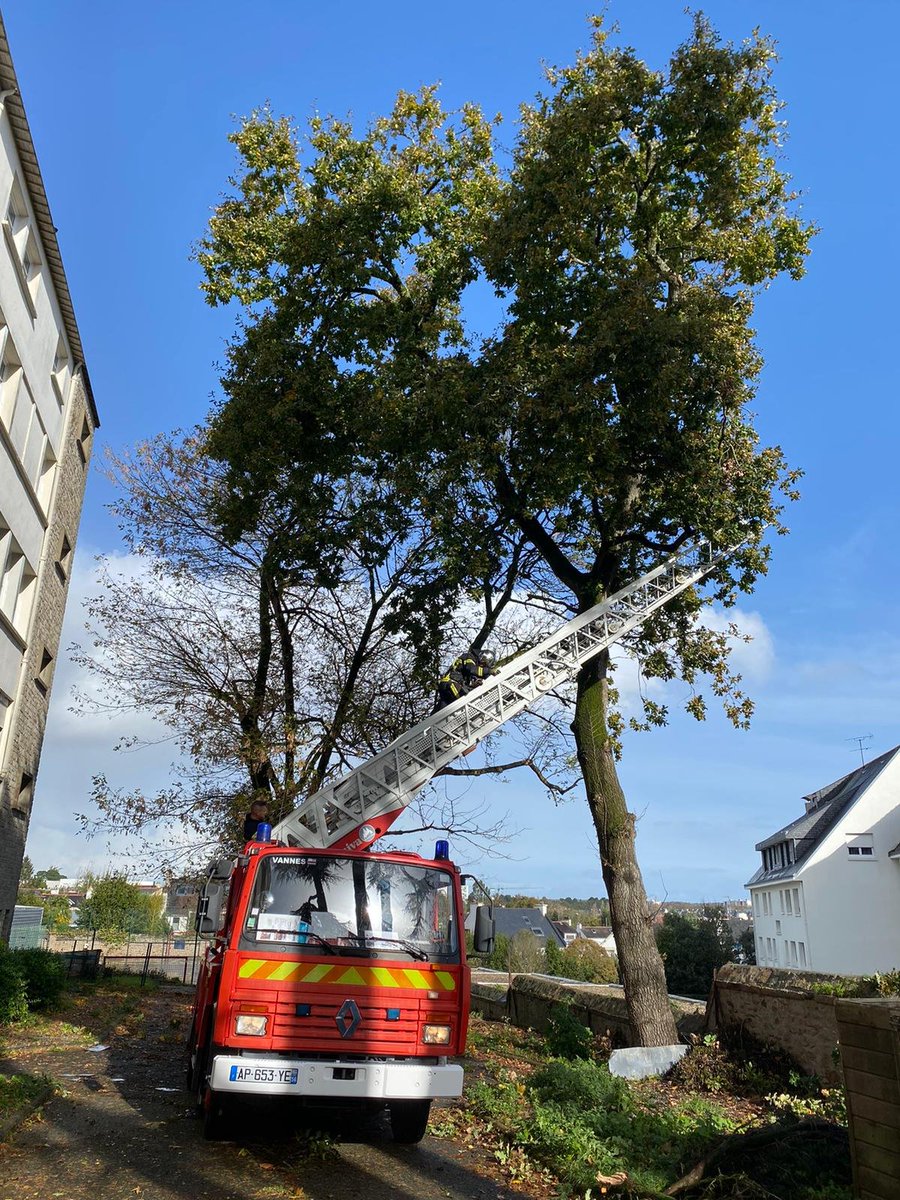 INSPÉ de Bretagne tweet media