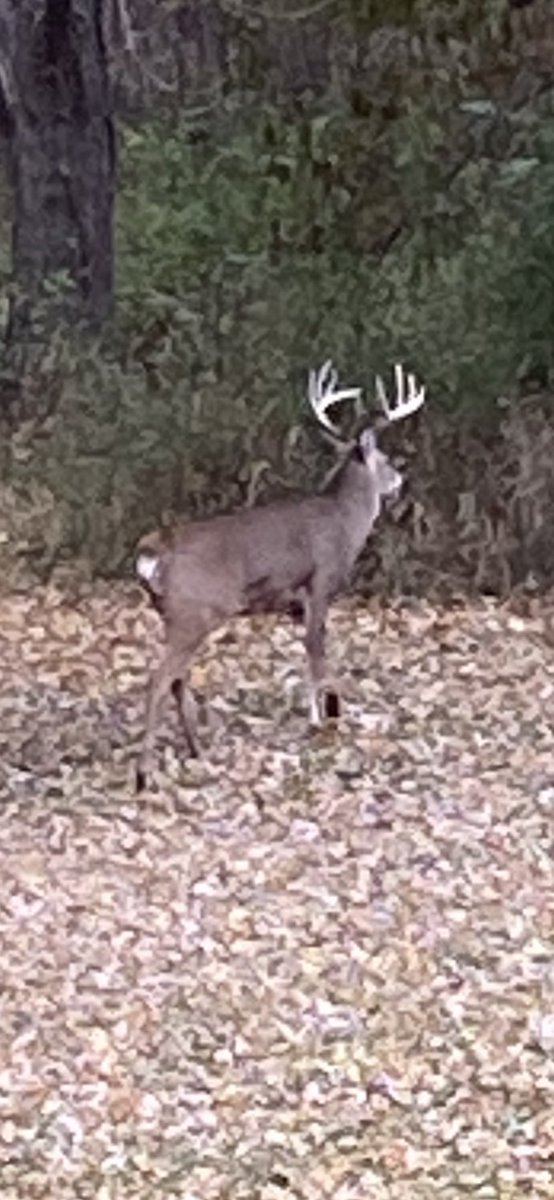 ErnieAgee's tweet photo. Another beautiful day in Purdueland. Does anyone know the way to Milwaukee? https://t.co/KBtXg8UlUw