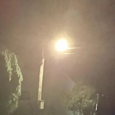 Bianca Toni Gomez🕹️ $RCADE tweet media