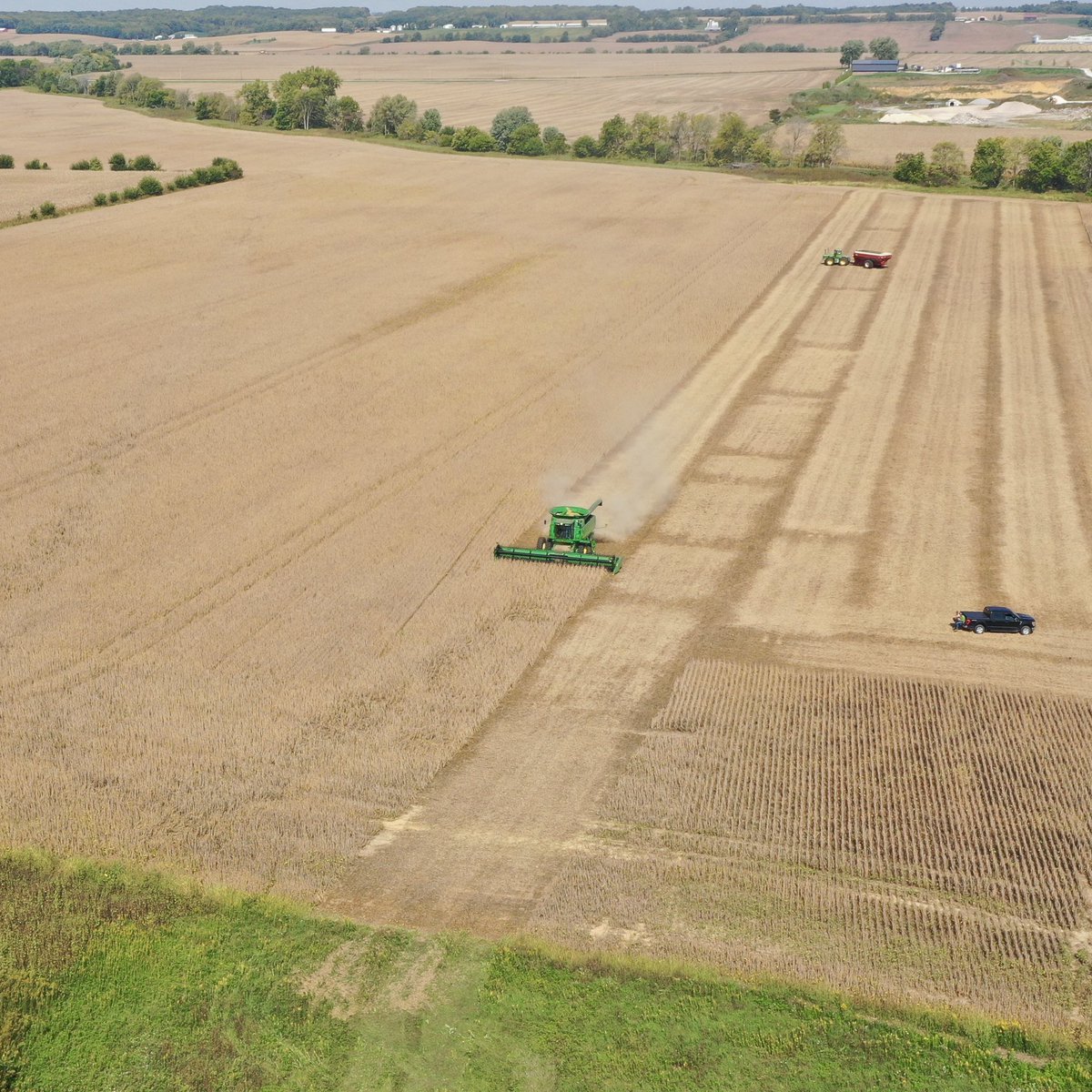 IanPlantBreeder's tweet image. The objective of every @Syngenta #plantbreeder 🌱 🧬 is to help American 🇺🇸 farmers.

This is a photo of my friend’s father harvesting a field of  @GldnHarvest #GH3373E3S #soybeans.

Farmers like him need access to high yielding and stress resistant soybean varieties to provide…