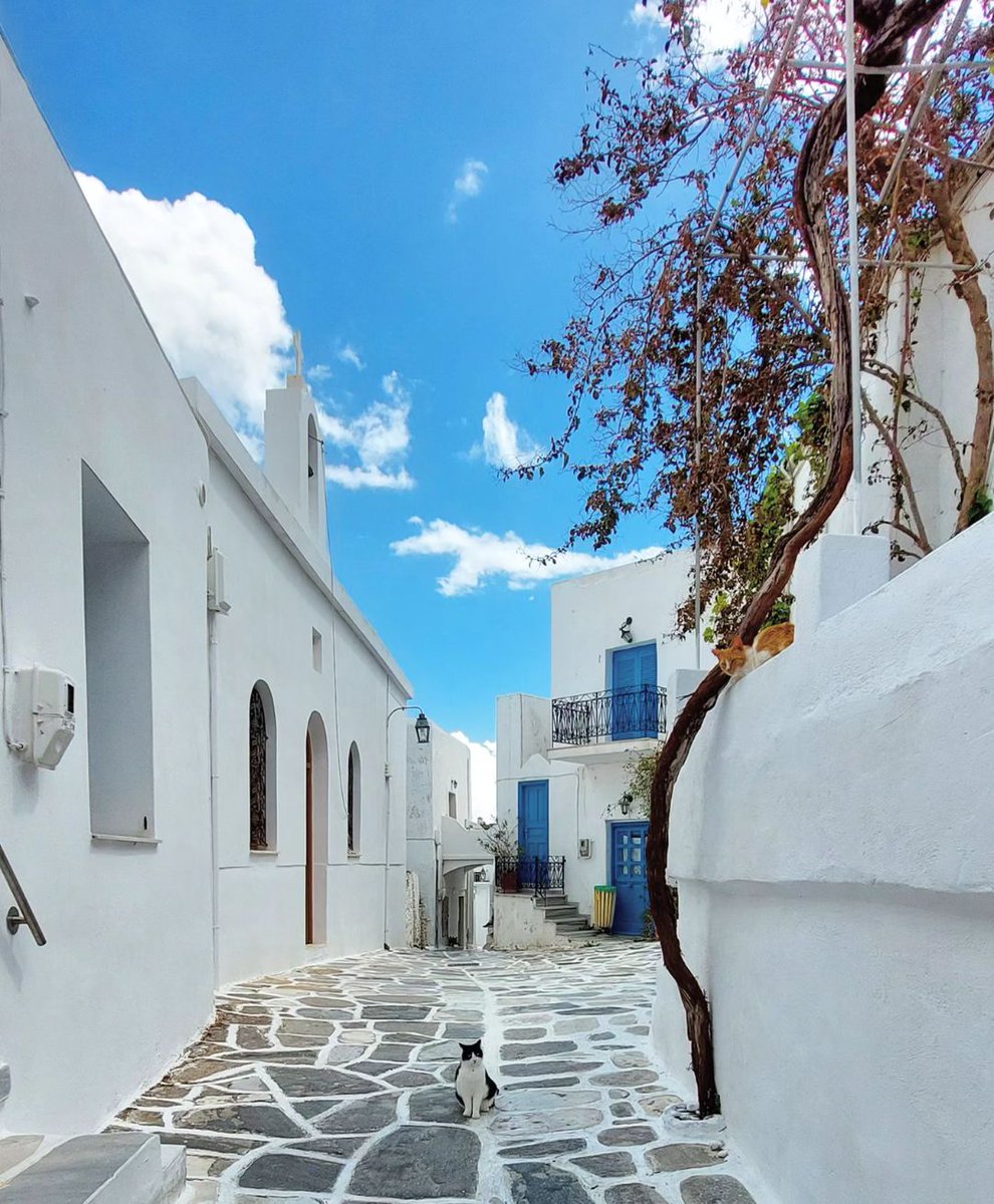 GreekPictures's tweet photo. Surrounded by olive groves and pine forests in verdant hills of interior #Paros, #Lefkes is a quintessentially historic Cycladic village boasting narrow stone laneways, stunning traditional and neo-classical architecture, delicious tavernas and friendly locals.
📷 gogoko8500 https://t.co/JMDuPvVGUZ