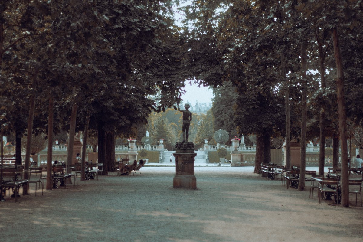 Lueurs matinales au jardin du Luxembourg ✨
Oui, je fais aussi de photographie urbaine (vraiment pas assez !).

Une petite pensée à me faire part ?

#JeudiConfession #JeudiPhoto #PhotographyIsArt