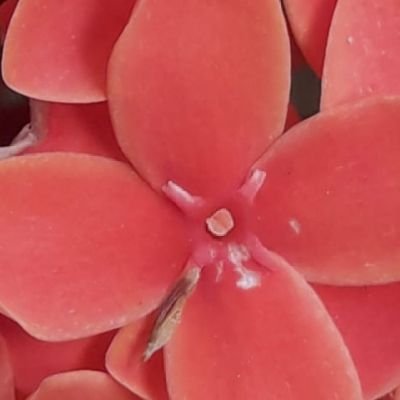 DEJAN DEJAN tweet media