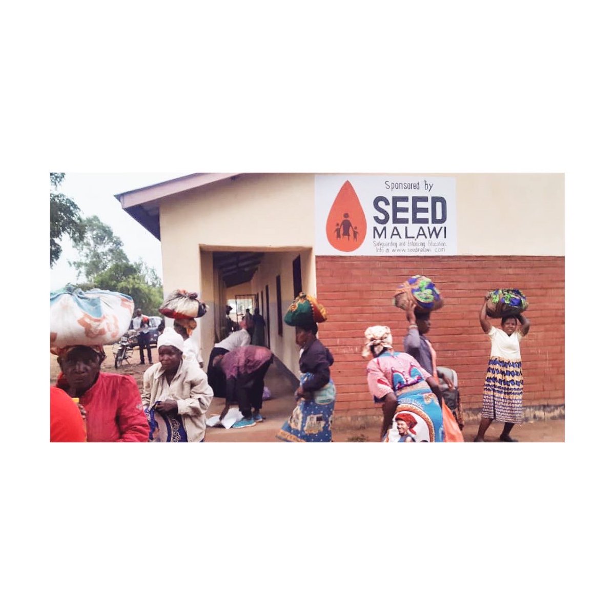SeedMalawi's tweet photo. Hundreds of families are walking long distances to collect our aid packages which contain food to last a family for over 3 months. 

These packages are for the victims of Cyclone Freddy - the 3rd deadliest tropical cyclone recorded in the Southern Hemisphere 🌾

#charity #aid https://t.co/FNCEEcntx1