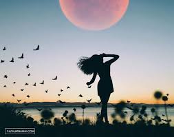 sahirsheraz tweet media