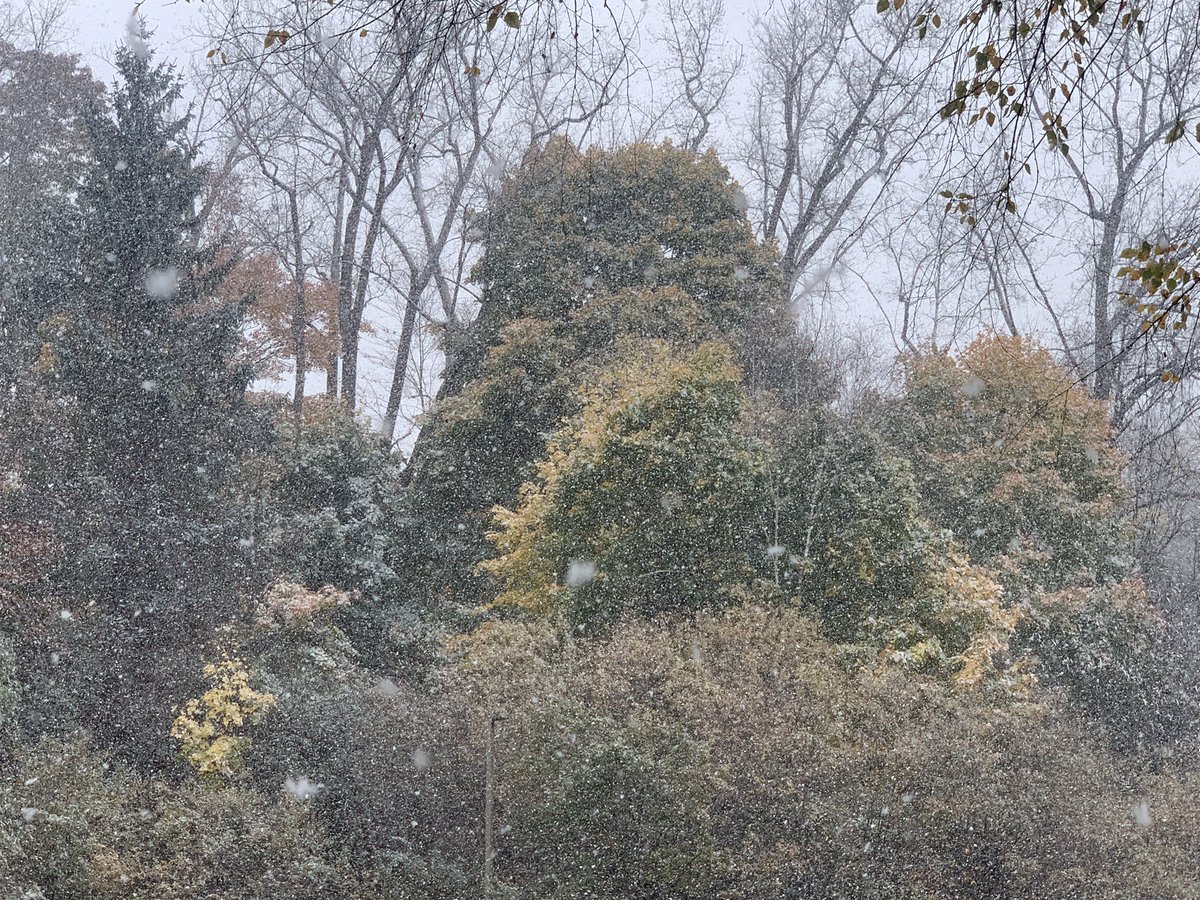 Matt Sutkoski tweet media