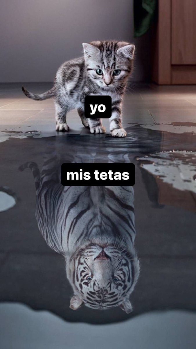 sertraliinaa's tweet photo. buenos días https://t.co/WuQAFJJ8QI