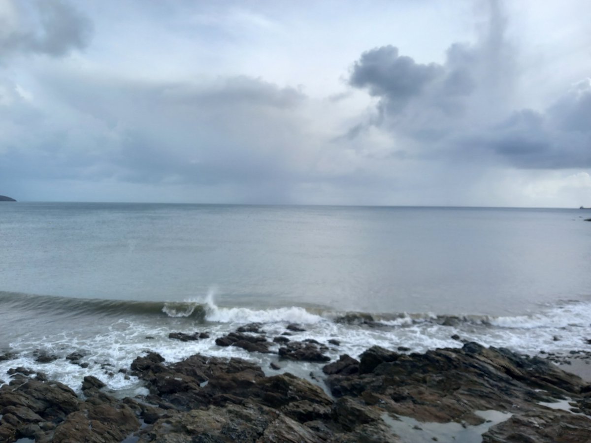 Matthew Broadbent (@12broadbentm) on Twitter photo Swanpool completely sheltered this morning despite crazy winds elsewhere. And stormies absolutely everywhere!! 210 euros and 3 leach's IDable since 10:45 with loads more on the horizon we couldn't do anything with! <a href="/drage_james/">James Drage Hubert</a> <a href="/CBWPS1/">Cornwall Birds</a> Swanpool completely sheltered this morning despite crazy winds elsewhere. And stormies absolutely everywhere!! 210 euros and 3 leach's IDable since 10:45 with loads more on the horizon we couldn't do anything with! <a href="/drage_james/">James Drage Hubert</a> <a href="/CBWPS1/">Cornwall Birds</a>