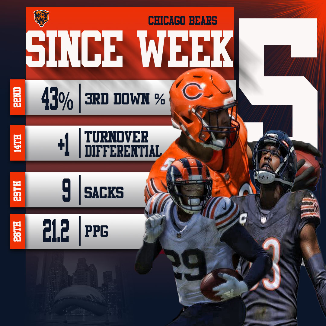 DA BUS 🐻 tweet media