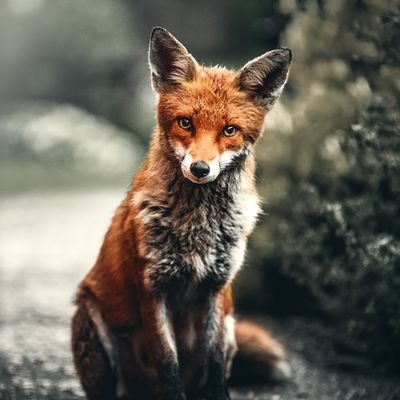 doha175's tweet image. It's a way to invest in your personal and financial well-being for a brighter future.