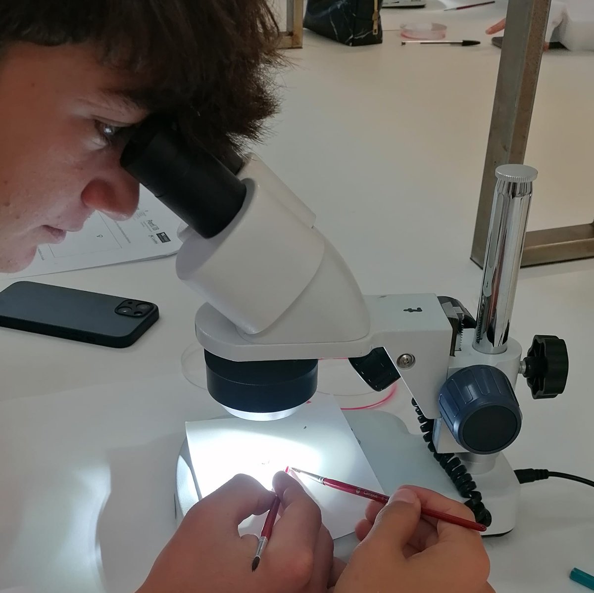 PortUIB's tweet photo. 🔬Avui s'han iniciat les activitats de #DemoLabUIB amb la visita dels alumnes de 4t d'ESO de l'@IesMarratxi . Han fet la pràctica d'introducció a la genètica amb Drosophila melanogaster.
📌https://t.co/tk9BKobd1A
#SeràsUIB https://t.co/clx10ejpEF