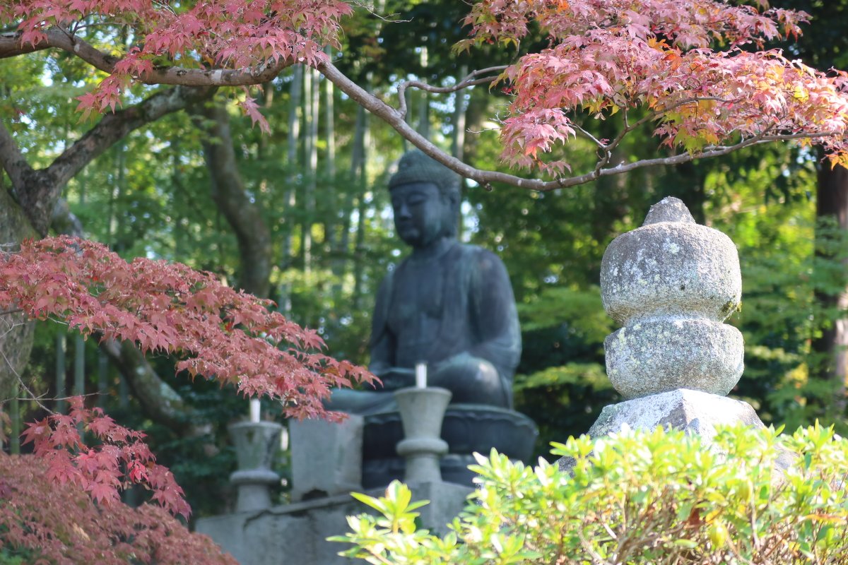 Ken79366823's tweet photo. 金戒光明寺 https://t.co/hcGTIyanTd