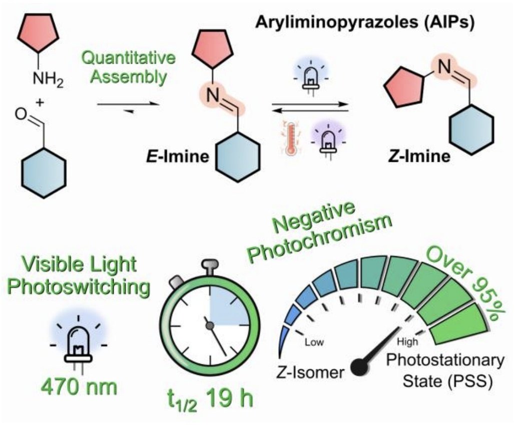 Jake Greenfield (@jakeylg) on Twitter photo Our first piece of work (featuring chief switcher <a href="/GalliumWu/">Jiarong Wu</a>) is now on ChemRxiv! 📰 💡🔦🚦
Photoswitchable Imines: Aryliminopyrazoles Quantitatively Convert to Long-Lived Z-Isomers with Visible Light. 🚦🔦💡
Check it out at the link 👇 chemrxiv.org/engage/chemrxi… Our first piece of work (featuring chief switcher <a href="/GalliumWu/">Jiarong Wu</a>) is now on ChemRxiv! 📰 💡🔦🚦
Photoswitchable Imines: Aryliminopyrazoles Quantitatively Convert to Long-Lived Z-Isomers with Visible Light. 🚦🔦💡
Check it out at the link 👇 chemrxiv.org/engage/chemrxi…