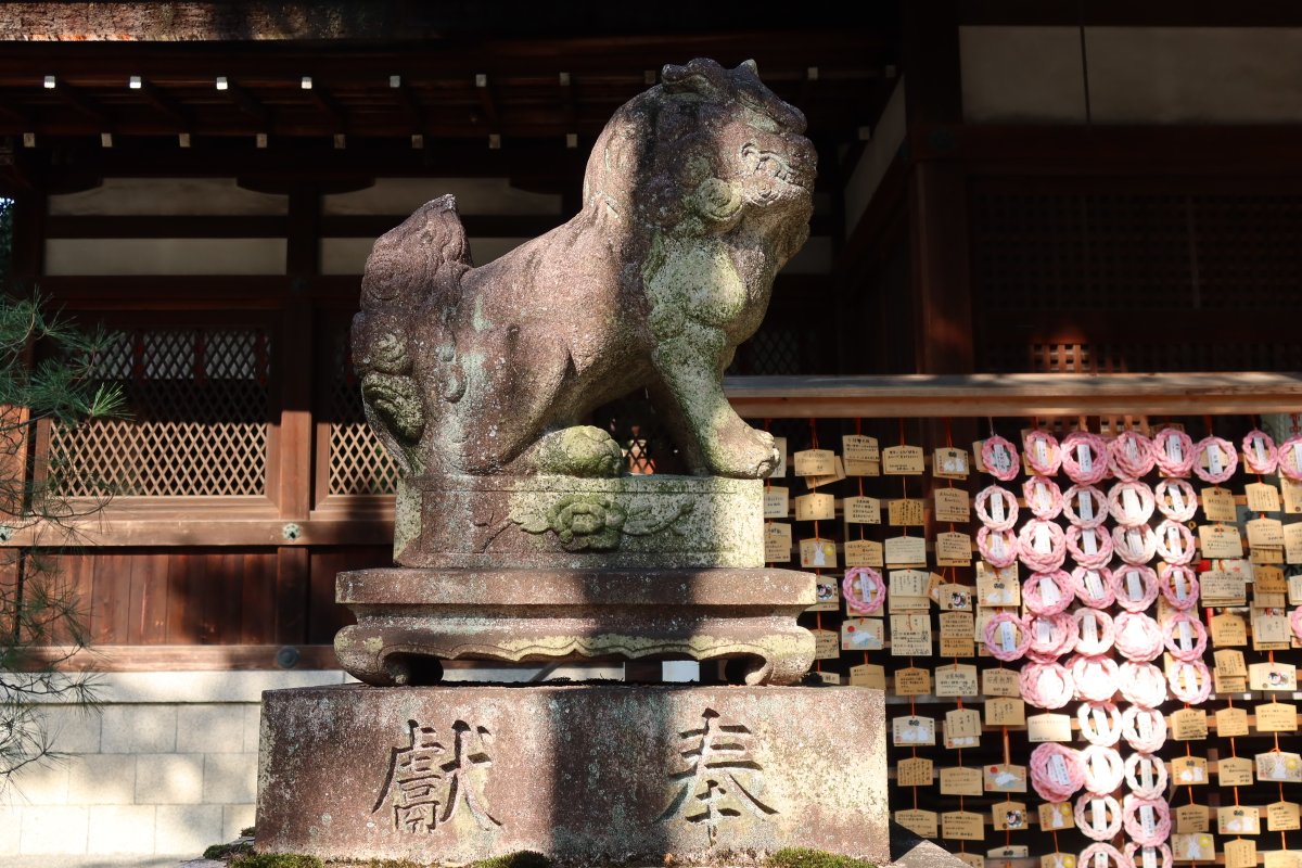 Ken79366823's tweet photo. 可爱的兔子 冈崎神社 https://t.co/WL2tujtVYn