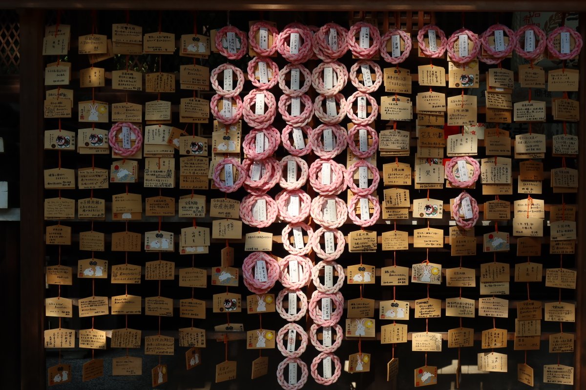 Ken79366823's tweet photo. 可爱的兔子 冈崎神社 https://t.co/WL2tujtVYn