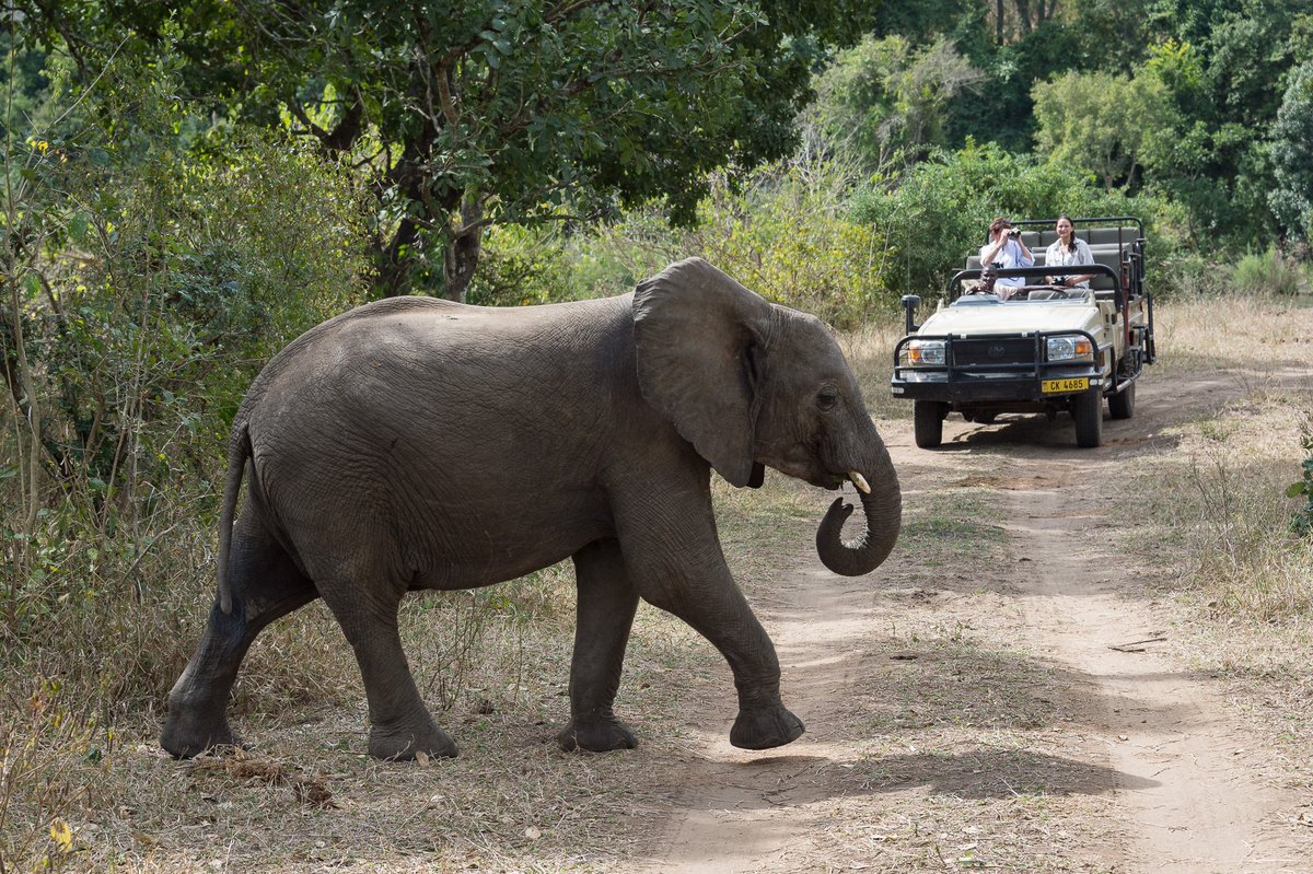 TourismMalawi's tweet photo. Planning to visit Malawi? Get more information on https://t.co/u6qkd5l5oC. You can also download the Destination App, Visit Malawi on iOS for Apple users and Play Store for Android users. 
#visitmalawi #lovemalawi #rediscoverthewarmheartofafrica https://t.co/t7WLbQIE7d