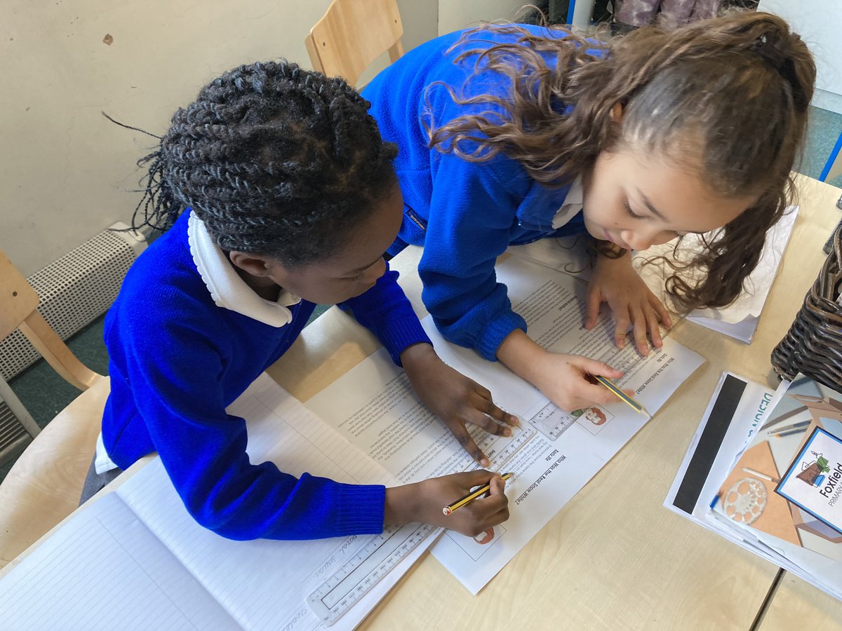 Foxfield - Year 3 tweet media