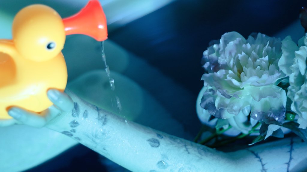 novustojkovic's tweet photo. 「バスルームより 愛を込めて 」

From bath room with my love
canonlens Eos degital 
versionＸ

#photograph #tokyo
#фотографія
#canon #artworks 
#사진 #照片 #фотография
#被写体 #rose #薔薇
#tattoo #お風呂 #unitbath
#アヒル #ducktoy #portrait https://t.co/3M10irs2yJ