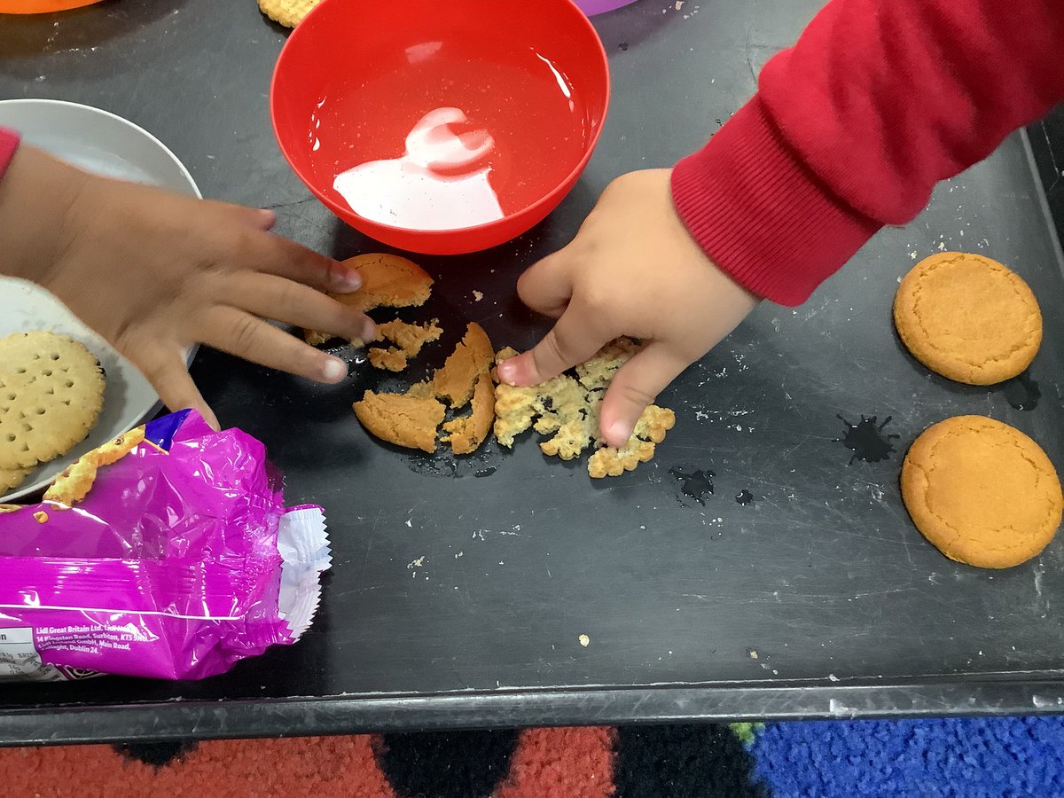 LarkHallPrimary's tweet photo. The tiger came to tea but none of the biscuits were suitable for dunking (too soggy, crumbly or mushy!) So Reception children had to become little scientists and find out which biscuits worked best. #LHSteamWeek #LHEYFS #LHSTU #LHUECL #LHWaterloo #LHBLP #LHPSCD https://t.co/KOZ3zYlB6m