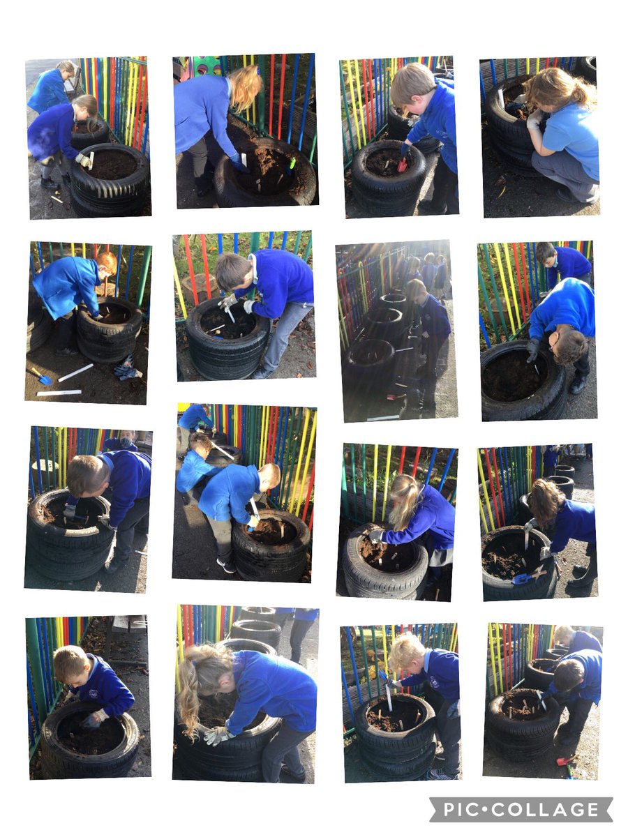 Bulb Planting Day!
Dosbarth Willow are ready to start recording the temperature and rainfall as part of the Bulb Project. <a href="/EdinaTrust/">Edina Trust</a> <a href="/Professor_Plant/">Professor Plant</a> #bulbbuddies