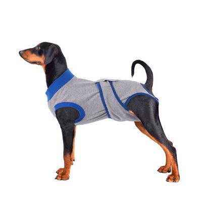 Sarcastics420's tweet photo. #Pet Supplies, Dog #Apparel, & Accessories
Shop Here: https://t.co/m34Cygwj0U
Shop #Kuoser great selection of #Dog Clothes, Dog Coats, Dog #Sweaters, Dog Dresses, Dog #Collars, Dog #Leashes, & more! *FREE* shipping on orders $49+, low prices, and the BEST customer service! https://t.co/GhB2q2AndO