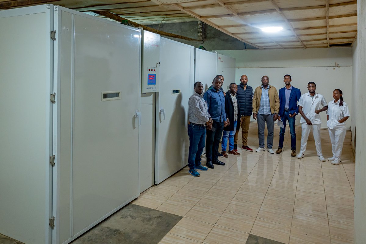 RwandaIndustry's tweet photo. Exciting News as Eddy Farm ltd too leveled up with a brand new,state-of-the-art automated set of hatchery equipment in #NIRDAOpenCallsProgram. Thanks to this amazing support from NIRDA-Enabel partnership, the company is now capable of producing 38,400 adorable chicks per month. https://t.co/2burzh3HvX