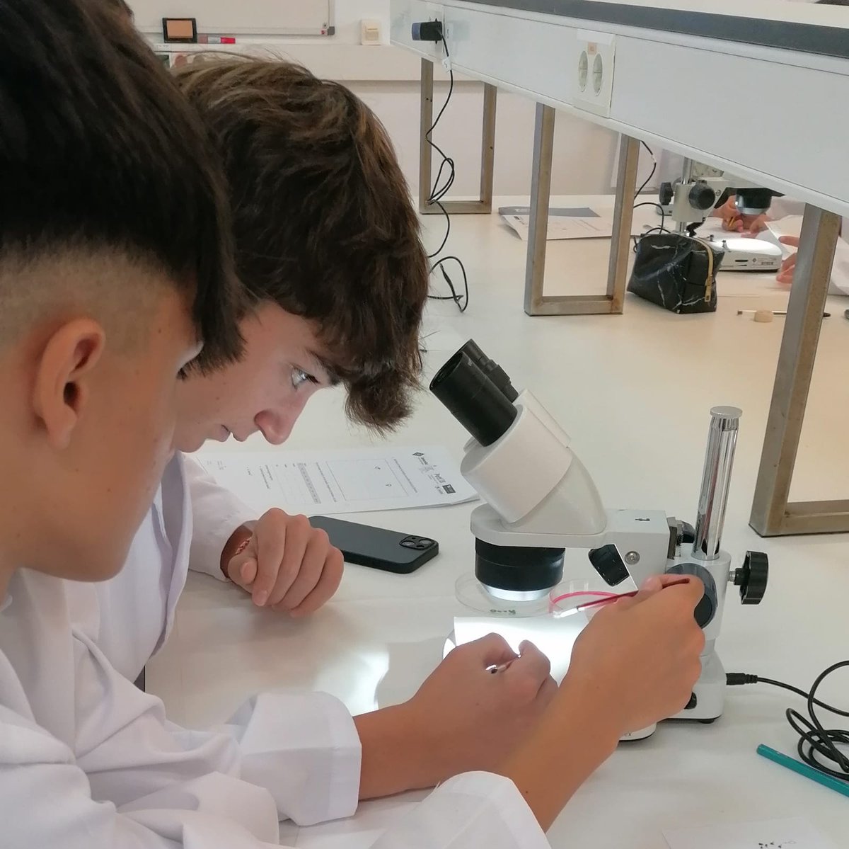 PortUIB's tweet photo. 🔬Avui s'han iniciat les activitats de #DemoLabUIB amb la visita dels alumnes de 4t d'ESO de l'@IesMarratxi . Han fet la pràctica d'introducció a la genètica amb Drosophila melanogaster.
📌https://t.co/tk9BKobd1A
#SeràsUIB https://t.co/clx10ejpEF