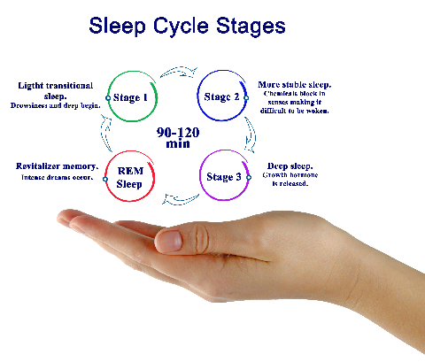LoriShemek's tweet photo. Sleep helps remove the proteins that accumulate in Alzheimer's disease - particularly deep sleep (stage 3 sleep) which supports a healthy brain.

Research now shows that those who enter deep sleep have less dementia than those who do not thanks to the clearance of metabolic waste from the brain.

Ideally getting 1.5 hours of deep sleep nightly is key.

https://t.co/0QHFpege8x
