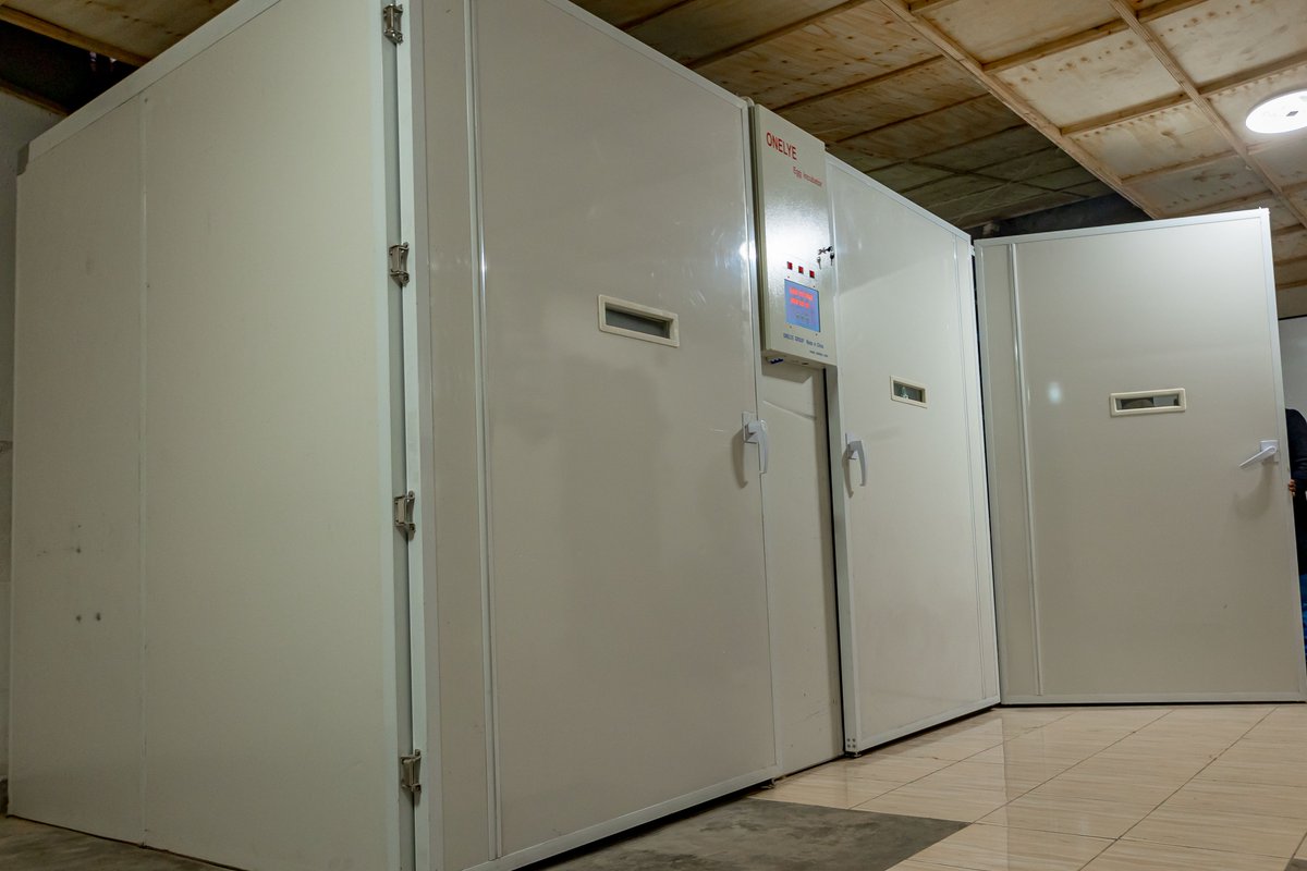 RwandaIndustry's tweet photo. With support from #NIRDAOpenCallsProgram, Eddy Farm Ltd acquired a full set of automated hatchery equipment that includes two setters, a hatcher, eggs room cooler, and a compact water chiller, making it competitive enough to supply its clientele with chicks. https://t.co/MfzLwRltQT