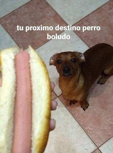 somier (@sommiewav) on Twitter photo 