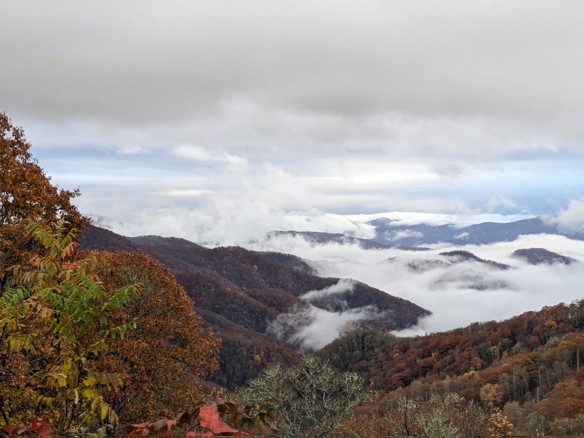 saralsakthi's tweet photo. #fallcolors #smokymountain #falltrip #fallintn #smokies #usa #Trending #colors #PictureOfTheDay #virql #fallupdate #mist #streetphotography #NaturePhotograhpy #NatureBeautiful #NatureLover #nature https://t.co/nB7kH2ZVdU