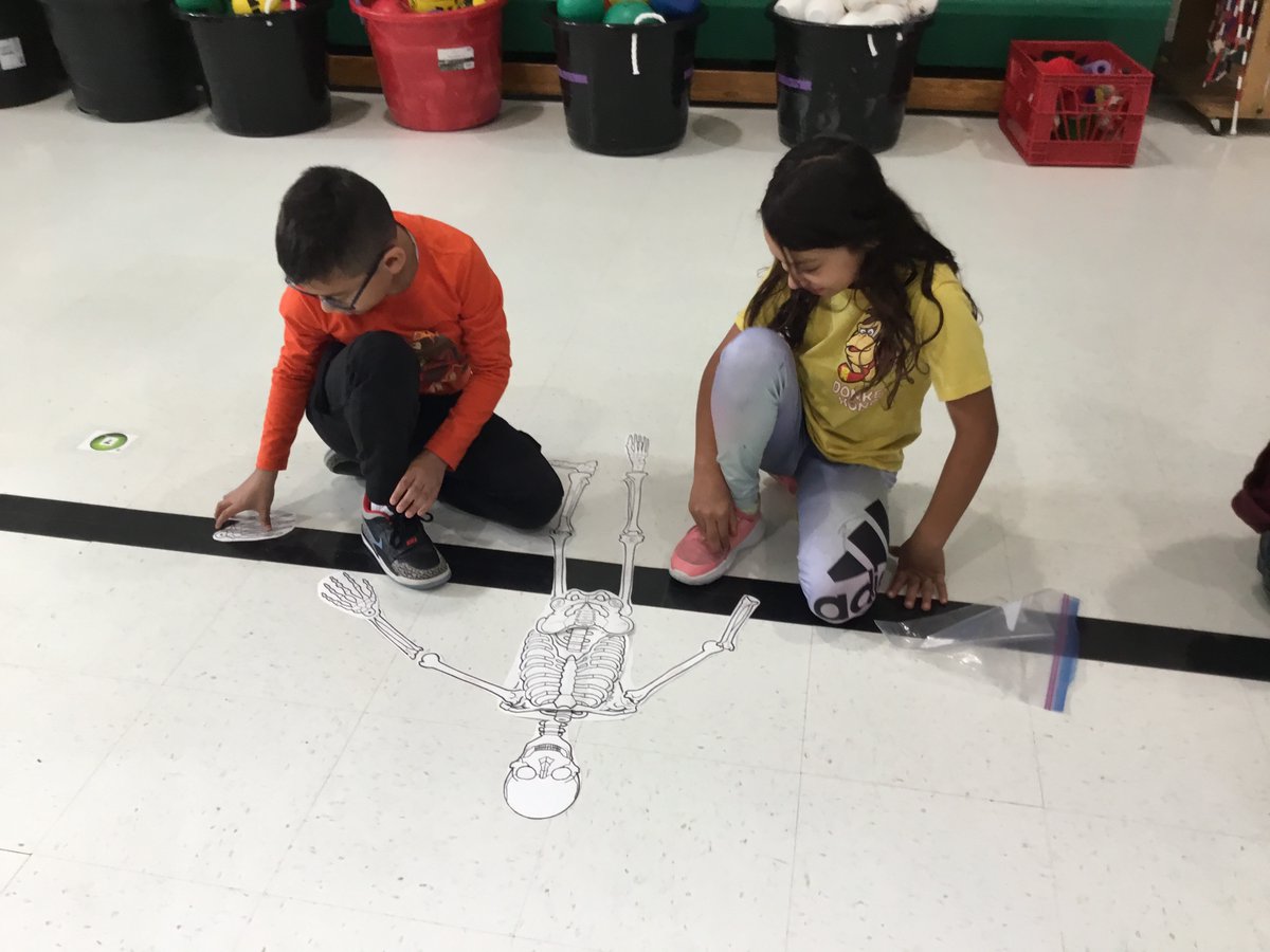 Build A Skeleton (Grade 3-5) 
*Students were working hard trying to figure out how to put the skeleton together!