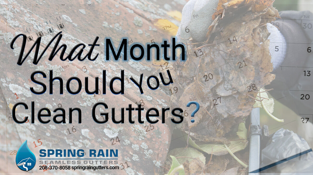 SpringGutters's tweet image. 🏡 Year-round Gutter Care in Treasure Valley! 🌦️
🌼 Spring: Late March to April
🍁 Fall: Starting September
Contact us for top-notch service!
☎️ 208-370-8058
🌐 bit.ly/3qPdrpr
#TreasureValley #GutterMaintenance #SpringRainGutters 🍂🏡