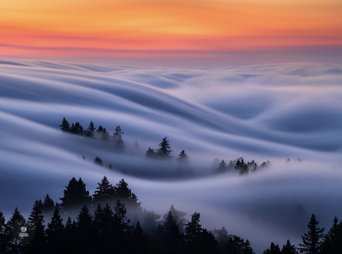 The Awe Project tweet media