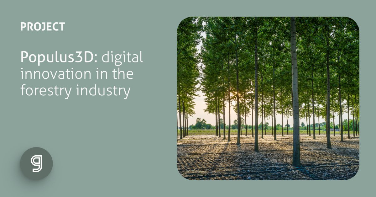 garnicaplywood's tweet photo. Want to find out more about Populus3D? 👉 Head on over to @Propopulus_eu for an in-depth explanation of the innovative technology that is being designed in collaboration with #Garnica. The future of poplar forestry is green 💚 https://t.co/YEXYN713jh https://t.co/YsWWGV4qsg