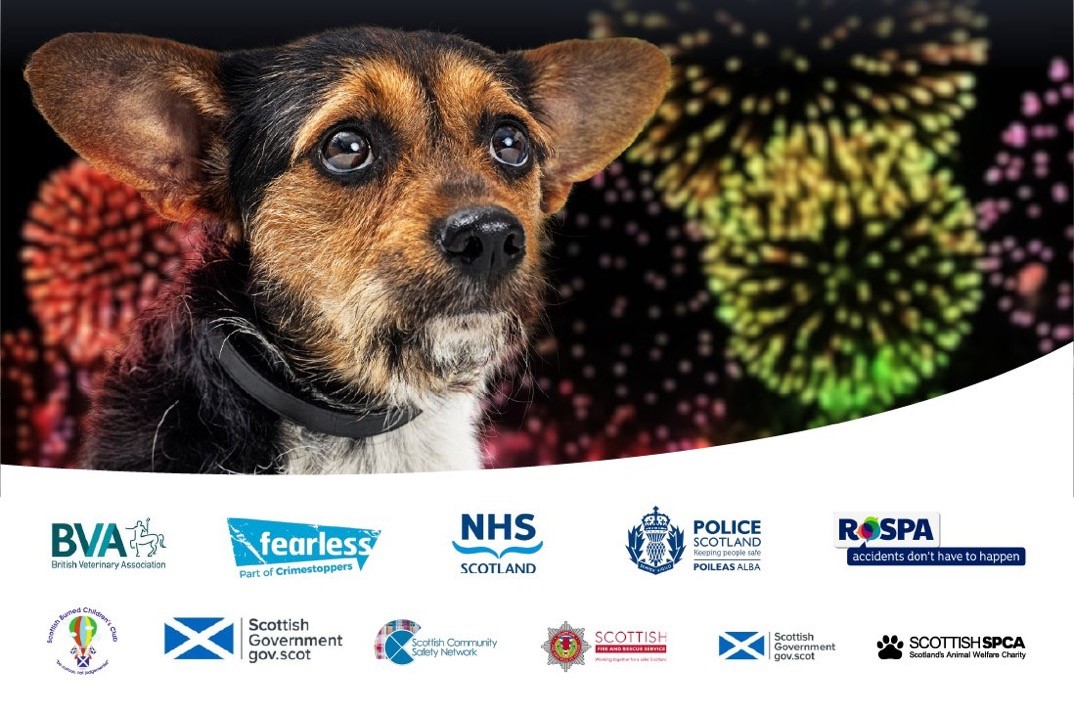 We are delighted to support the @ScottishSPCA and other partners in this year’s #FireworkSafety campaign. If you are worried about how your pets will cope with the days before and Bonfire night, watch the following video for advice🔽 scottishspca.org/fireworks