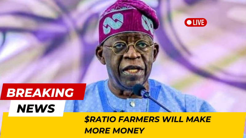 Pi_UpdatesDaily's tweet photo. Dear $RATIO farmers out there🧑‍🌾  

Don't joke with your Points.
Every repost🔄, Every quote🔄, Every comment🖍️, Every like❤️ counts🫵

Lets bag as many $RATIO points as many as we can💼

Now all we have to do is to comment $RATIO 
@ethratio

#oCash #ōLand #Alpha @NewBitcoinCity https://t.co/btUbadsofA
