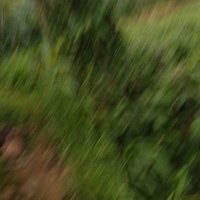 Sarah A Holland tweet media